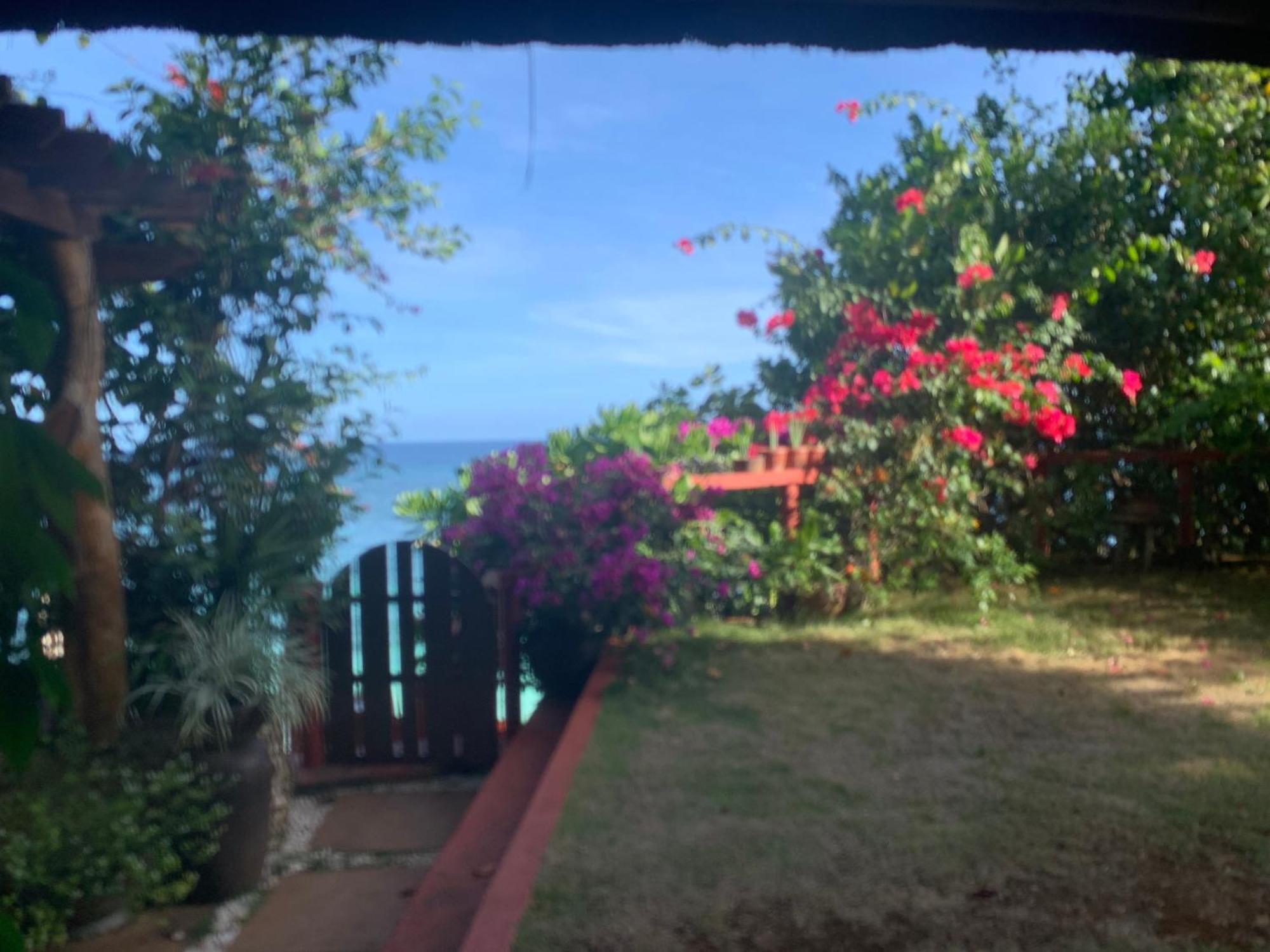 Blue Raven Resort Anda  Ngoại thất bức ảnh