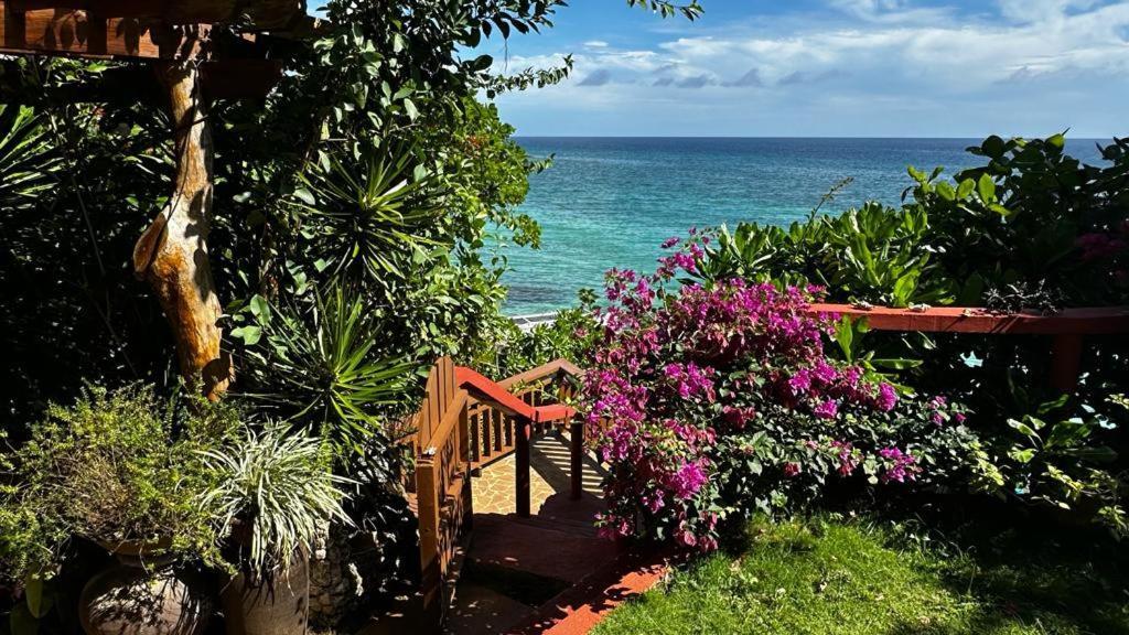 Blue Raven Resort Anda  Ngoại thất bức ảnh