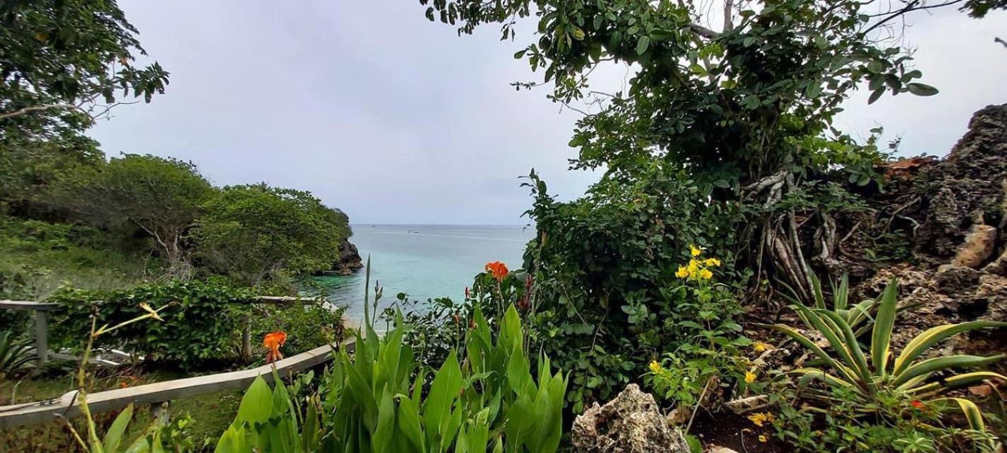 Blue Raven Resort Anda  Ngoại thất bức ảnh